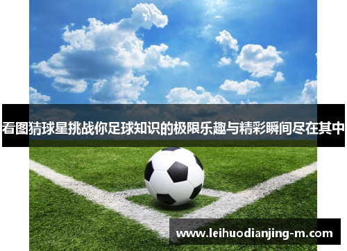看图猜球星挑战你足球知识的极限乐趣与精彩瞬间尽在其中