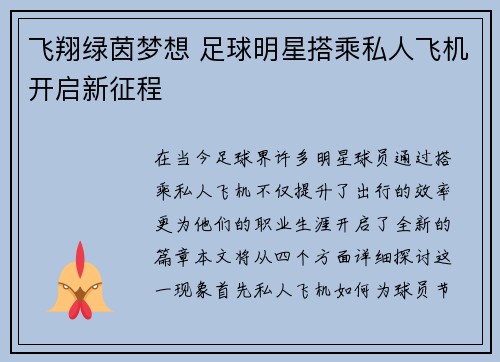 飞翔绿茵梦想 足球明星搭乘私人飞机开启新征程